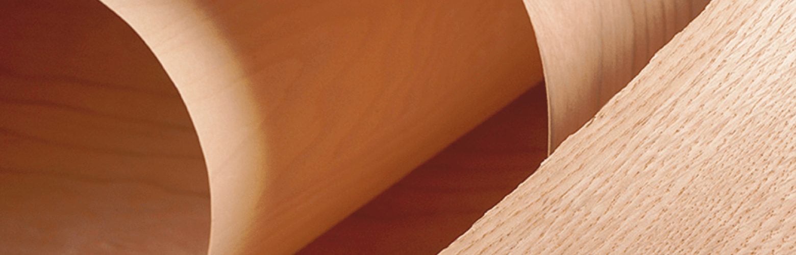 Sheets of peeled face veneer curling off a roll